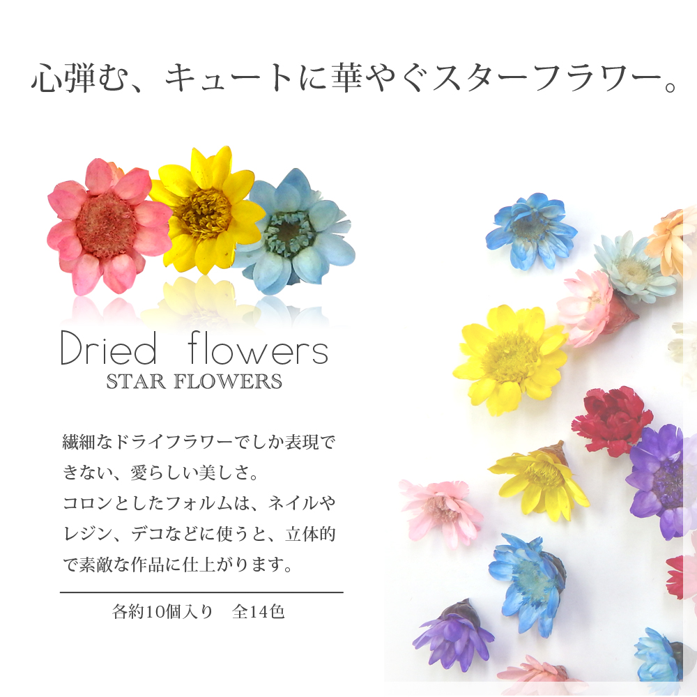 ネイル ハンドメイド スターフラワー ガラスドームに 生花を使用したドライフラワー10色 約10個入り 株式会社アプリ