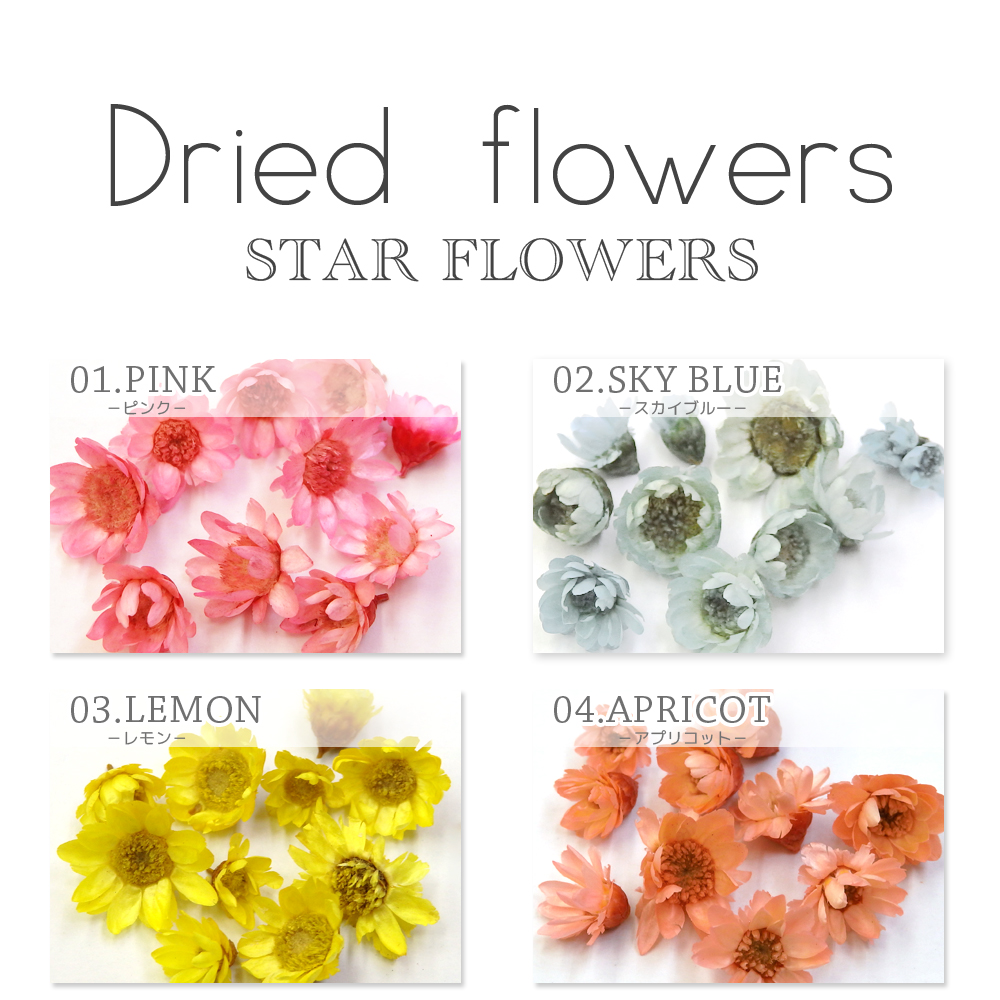 ネイル ハンドメイド スターフラワー ガラスドームに 生花を使用したドライフラワー10色 約10個入り 株式会社アプリ